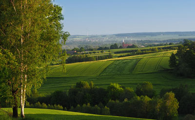 Landscape view of a field - Image from morguefile.com