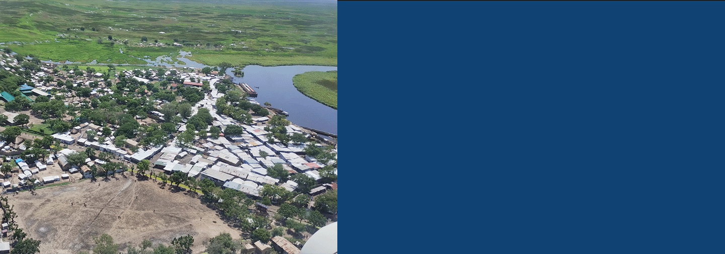 Arial picture of South Sudan Village.