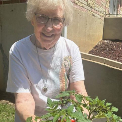 Sister Rose Ann Ficker displays a tomato plant she has grown in her home garden